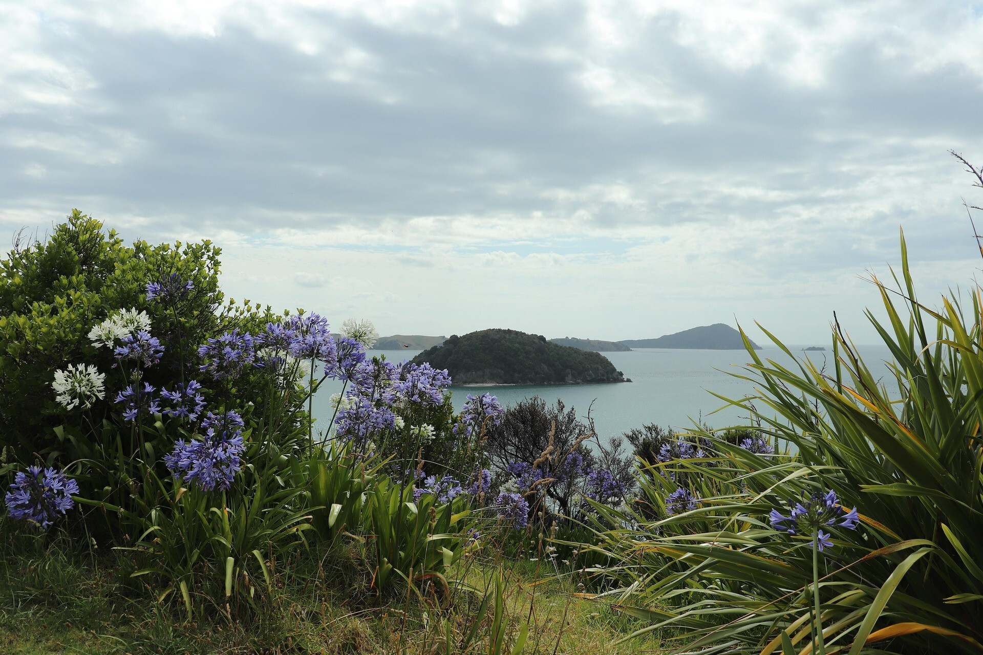 Rugged natural landscape of New Zealand – origin of certified Manuka honey by Manuka Swiss.